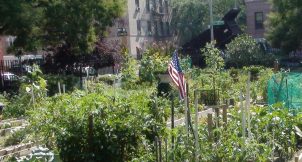 Tremont Community Garden